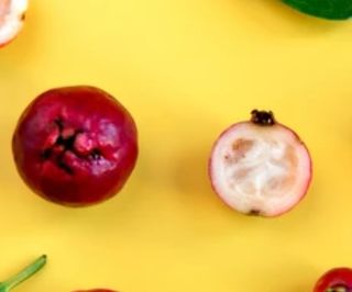 Semi di Guava fragola.