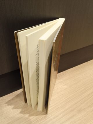 Tras la sombra del brujo.Premio Edebé Literatura.