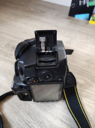 Nikon D3100