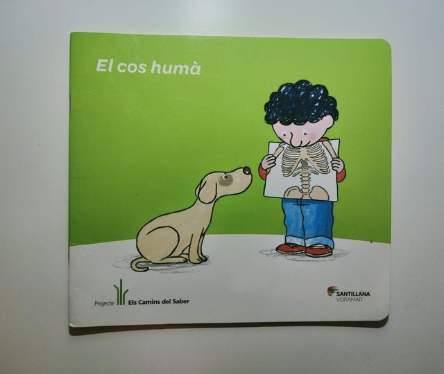 Els camins del saber