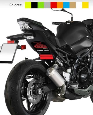 Pegatinas Paso de rueda Kawasaki Z900 Z900E