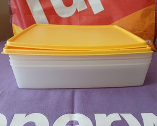 Recipientes de congelación Tupperware