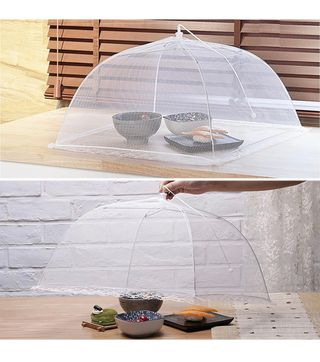 Copertura Alimentare Pieghevoli 6