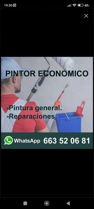 PINTOR ECONÓMICO