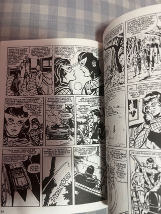 Biblioteca LA VIUDA NEGRA