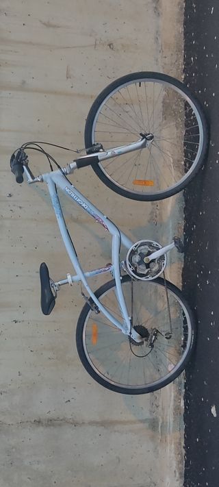 Rodillo Tacx T-1000 Antares.