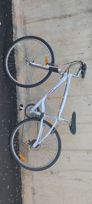 Rodillo Tacx T-1000 Antares.