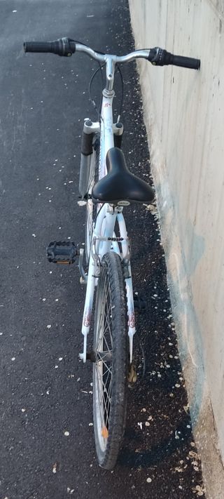 Rodillo Tacx T-1000 Antares.