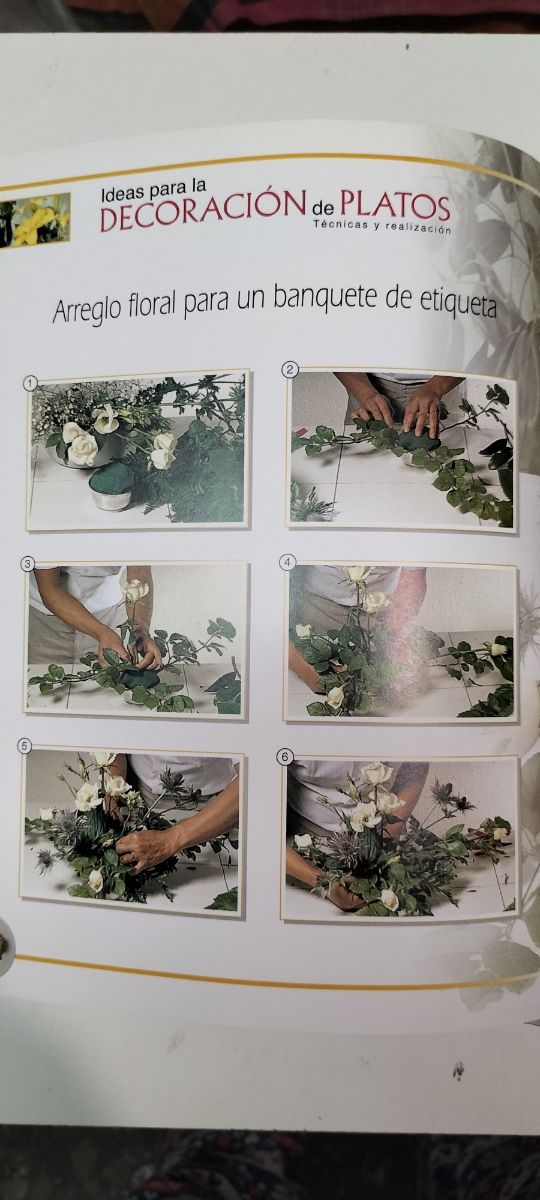 Ideas para la decoración de platos