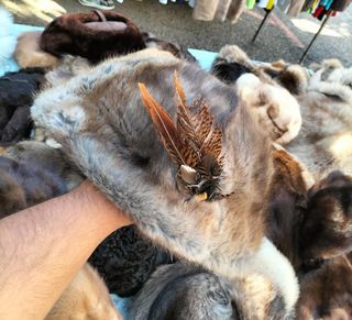 Cuello y tiras de pelo