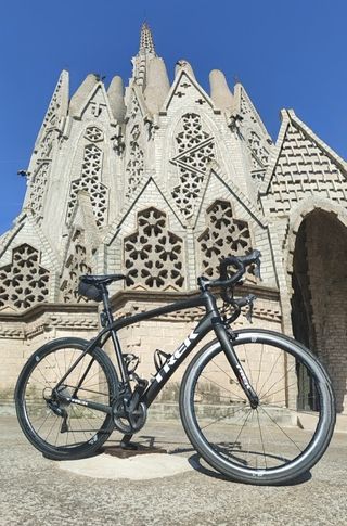 TREK DOMANE SL6(2018) Talla56 BICI CARRETERA CARBO