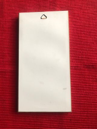 Quadro con palma in sughero