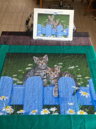Puzzle 1000 piezas