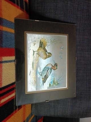 Quadro
