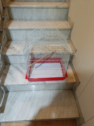Jaula grande para pájaros