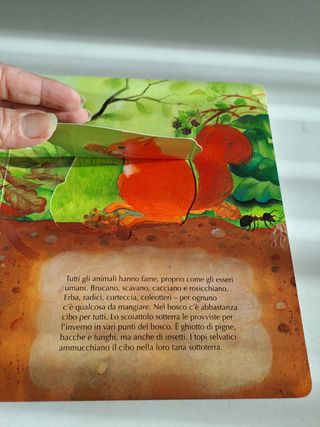 Questo è il bosco. Apri, scopri, impara