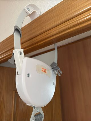 Saltador Bright Starts