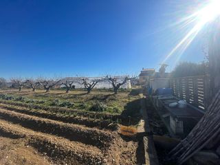 Se vende finca rústica en Tarazona