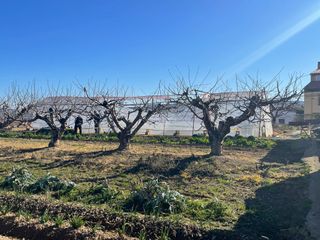 Se vende finca rústica en Tarazona