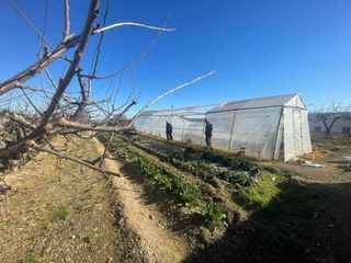 Se vende finca rústica en Tarazona