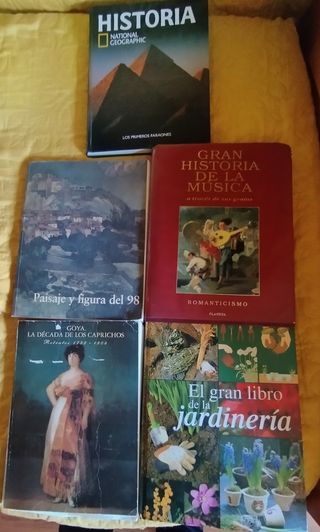 LIBROS DE TEMAS VARIADOS A 3 EUR CADA UNO
