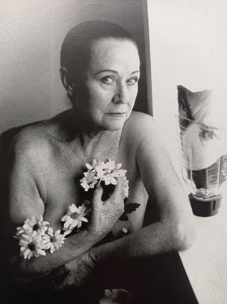 LUZ NATURAL EL DESNUDO Y EL CINE ESPAÑOL SALDIVAR