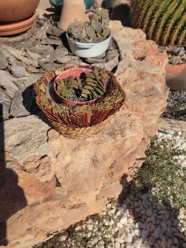 Cestas, maceteros, leer bien