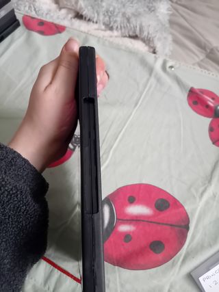 Gioco per PC The settlers