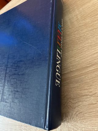 Diccionario Multilingue