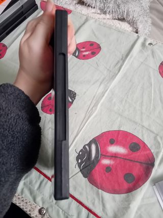 Gioco per PC Tomb Raider Legend