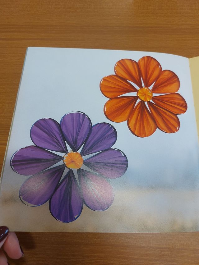 Libro : Finestre in festa