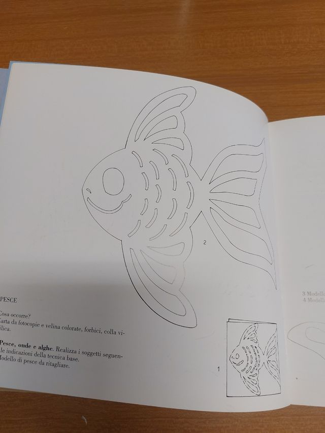 Libro : Finestre in festa