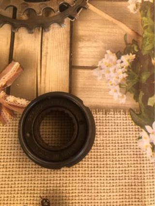 Ruote libere Regina Extra