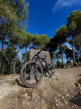 Scott Spark comp blue 