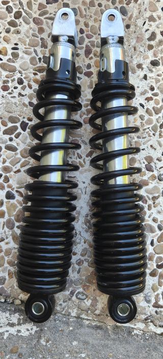 Efun Puma 9,9kw 150Ah