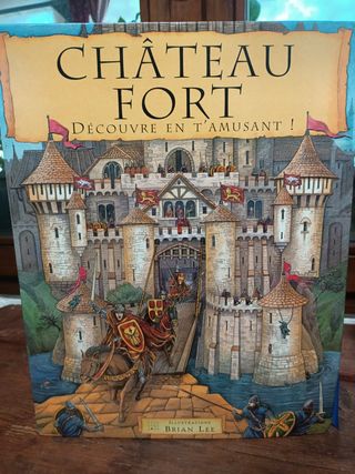 Libro cavalieri medievale 3D