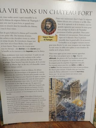 Libro cavalieri medievale 3D