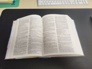 Richmond Advanced Dictionary/ Richmond diccionario avanzado: Espanol/Ingles/Ingles/Espanol (Spanish and English Edition)