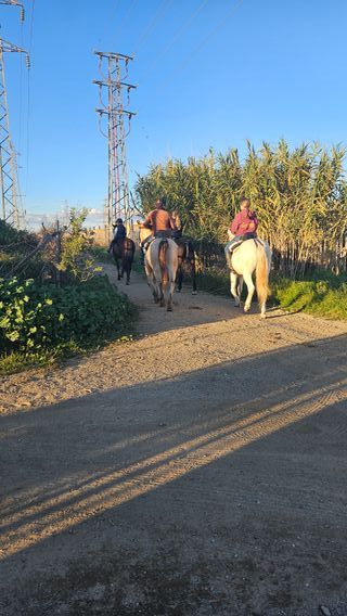 Clases de Equitación