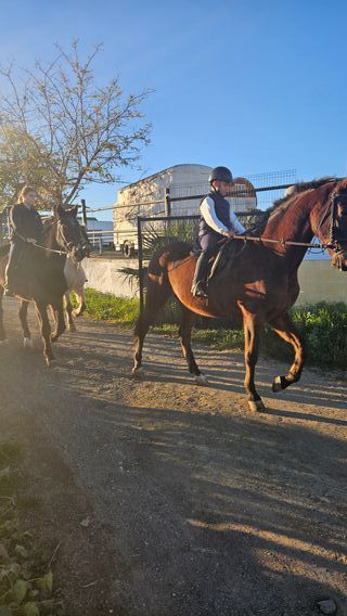 Clases de Equitación