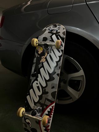 Skate Nomad 