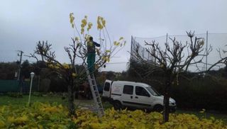 Jardinero económico