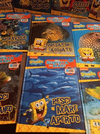 Libri spongebob
