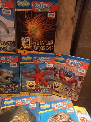 Libri spongebob