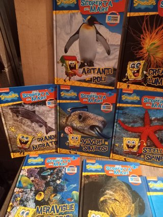 Libri spongebob