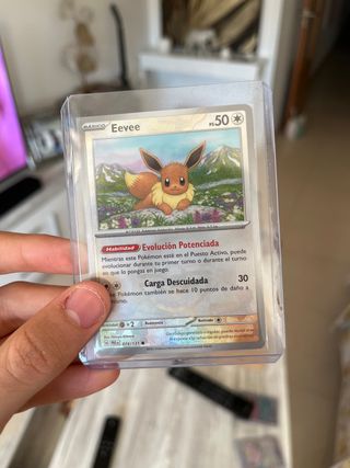Eevee pokeball 074/131