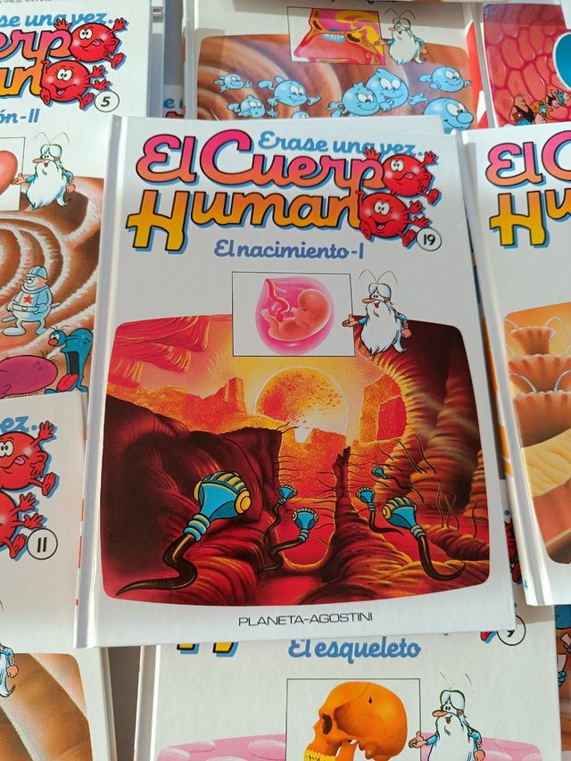 Erase Una Vez.el Cuerpo Humano