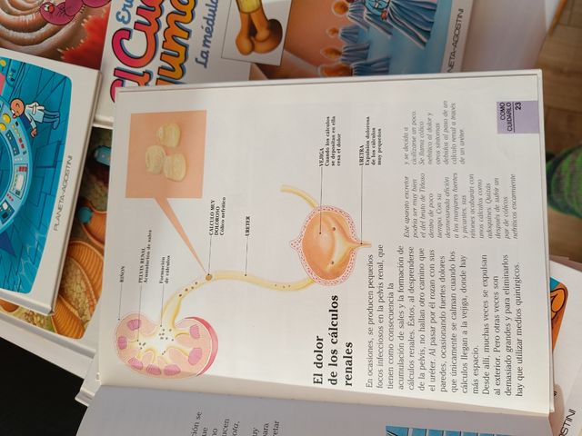 Erase Una Vez.el Cuerpo Humano