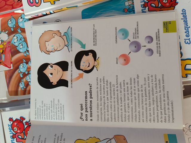 Erase Una Vez.el Cuerpo Humano