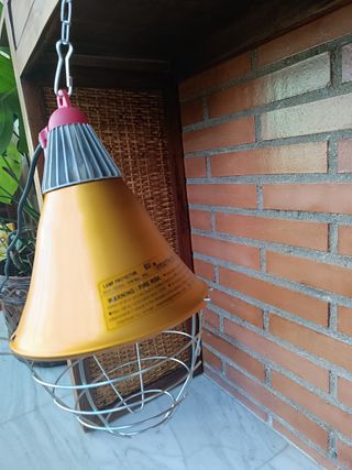 Lampara calefactora Interheat mascotas